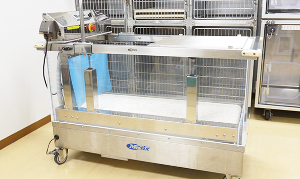 ウォータートレッドミル