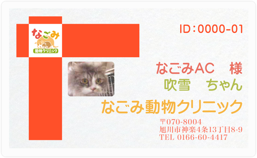 オリジナル診察券（表）