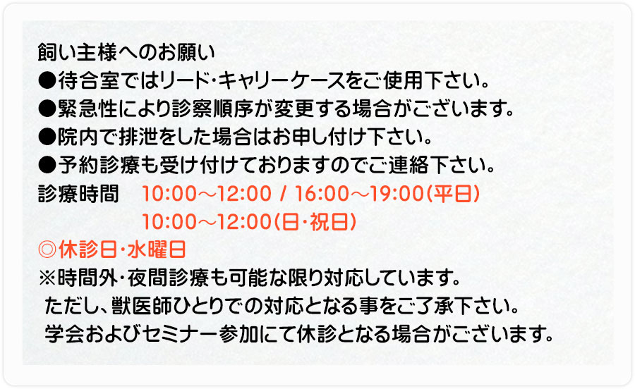 オリジナル診察券（裏）